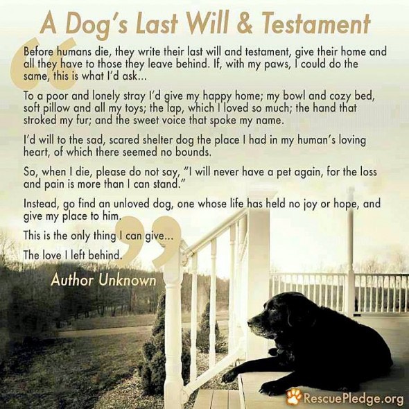 7.31.14-Dogs-Last-Will-Testament2-590x590