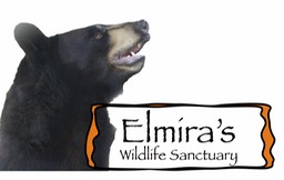 Elmira's Logo 1