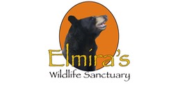 Elmiras Logo 3