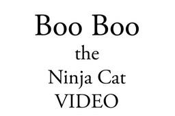Boo Boo the Ninja Cat